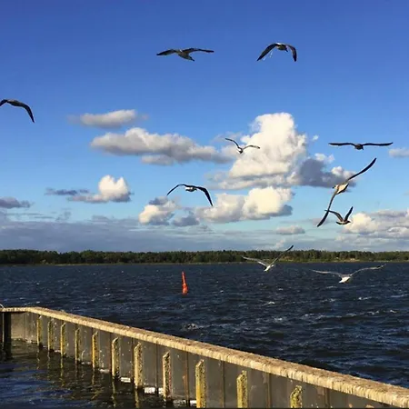 보트호텔 Haus In Damgarten For 3 Personen *