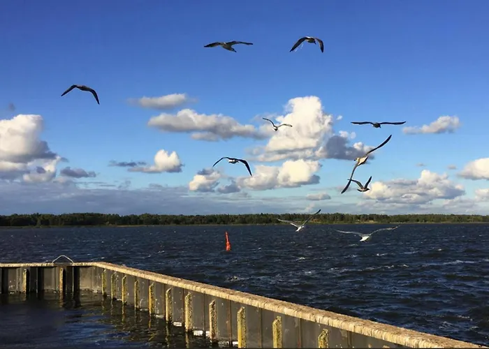 Botel Haus In Damgarten For 3 Personen *